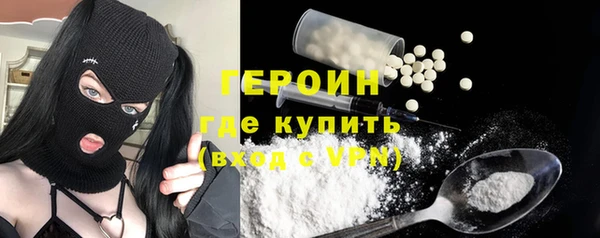 сатива Дмитриев