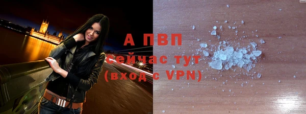 сатива Дмитриев