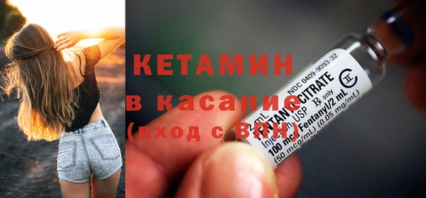 сатива Дмитриев