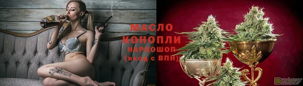 сатива Дмитриев