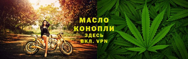 сатива Дмитриев