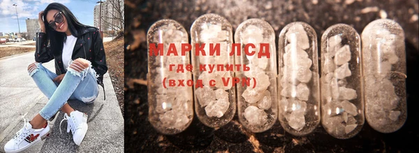 сатива Дмитриев