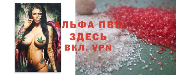 сатива Дмитриев